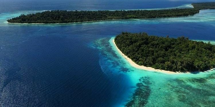 PBB Putuskan Adopsi Traktat Perlindungan Biodiversitas Laut Lepas 1