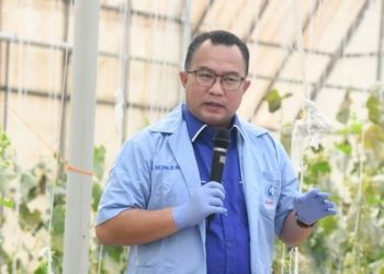KOICA Sokong IPB dan SNU Rp120 Miliar Kembangkan Biosains