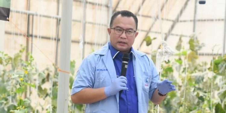 KOICA Sokong IPB dan SNU Rp120 Miliar Kembangkan Biosains