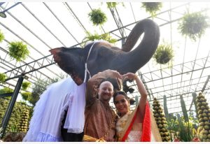 In Picture: Uniknya Pernikahan Massal di Atas Gajah pada Hari Valentine di Thailand 3