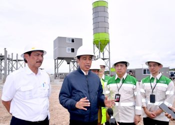 Kalimantan Industrial Park Indonesia (KIPI) akan Jadi Kawasan Industri Hijau Terbesar di Dunia