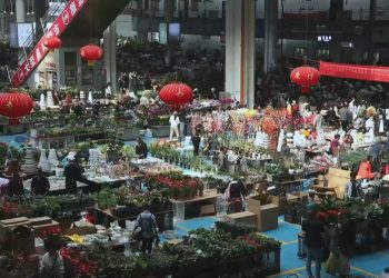 Pasar Bunga Terkemuka di Asia Incar Keuntungan dari “Perekonomian Kaum Hawa”