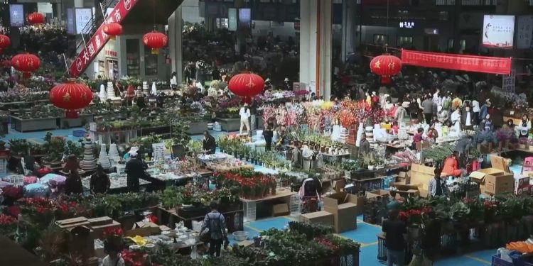 Pasar Bunga Terkemuka di Asia Incar Keuntungan dari “Perekonomian Kaum Hawa”