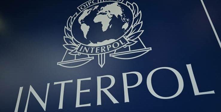 Interpol Buru Bos Perusahaan di Jepang yang Kabur ke Indonesia