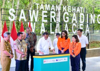 Brasil, China, dan AS Kolaborasi Bangun Industri Nikel di Indonesia