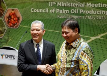 Hadapi Uni Eropa, Negara Produsen Sawit di Asia Konsolidasi di Malaysia