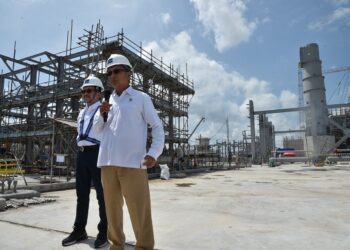 Freeport Indonesia Diultimatum agar Progres Smelternya Capai 4% Per Bulan