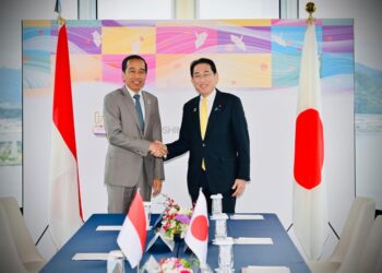 TRANSISI ENERGI: Jokowi Minta Jepang Percepat Realisasi Komitmen US$500 Juta