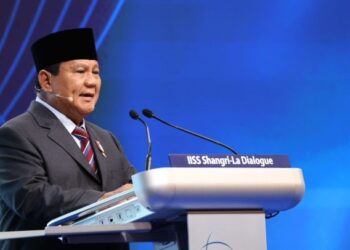 Rusia Sambut Positif Usulan Perdamaian dari Indonesia