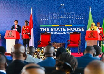 Indonesia Siap Wujudkan Kolaborasi Konkret dengan Afrika