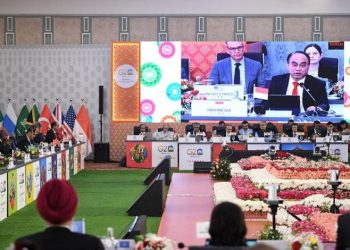 Forum G20 India: Indonesia Usulkan Pendekatan Fleksibel dan Komprehensif untuk DPI