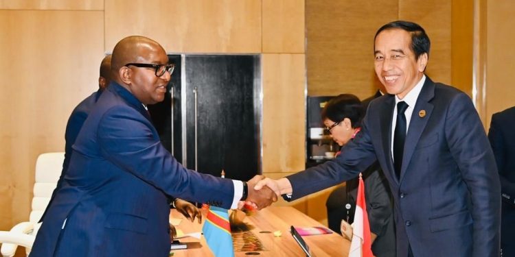 Indonesia Dukung Kongo Wujudkan Konservasi Hutan dan Hilirisasi Industri