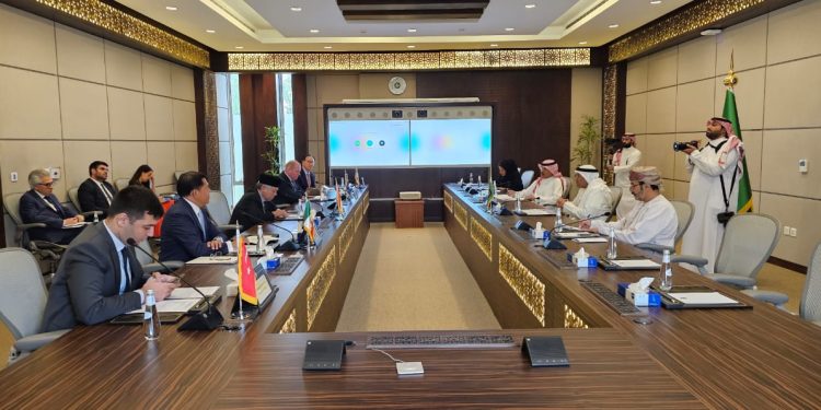 Pertemuan Diplomatik MIKTA dan GCC, Sepakati Kerja Sama Multilateral