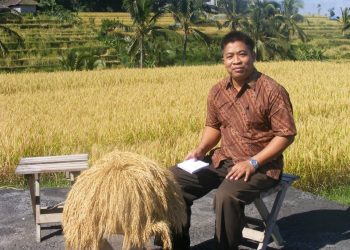 Building a Global Warming Mitigation Strategy in the Agricultural Sector