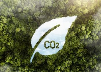This is How Indonesia is Trying to Overcome Climate Change Through Fiscal and Financial Instruments