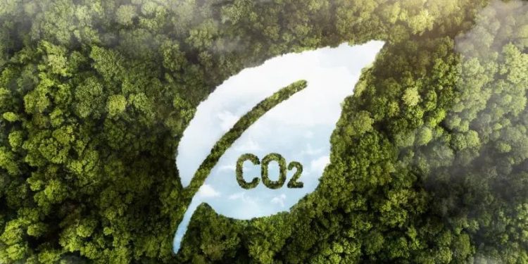 This is How Indonesia is Trying to Overcome Climate Change Through Fiscal and Financial Instruments