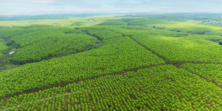 Indonesia Becomes a World Role Model for Community-Based Climate Resilience