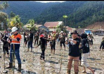 Mitigasi Perubahan Iklim, Ribuan Pohon Mangrove Ditanam di Pesisir Kolaka