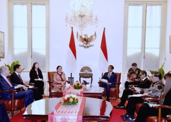 Indonesia and MIKTA are Fighting for Peace in Palestine