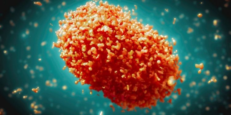 Emergency, 30 People in Jakarta Infected by Monkey Pox Outbreak