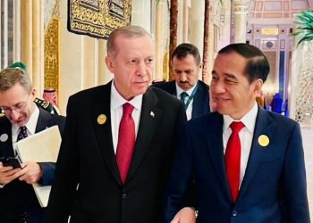 Indonesia and Turkiye Will Continue to Work Together to Help Palestine