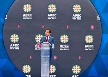 President Jokowi Invites APEC Investors to Invest in Indonesia