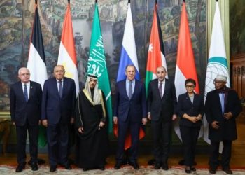 OIC Foreign Ministers Encourage French Support to End the Crisis in Gaza