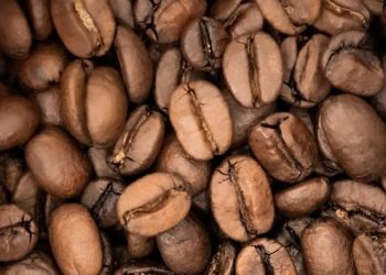 Bandung Exports 19.5 Tons of Arabica and Robusta Coffee to France