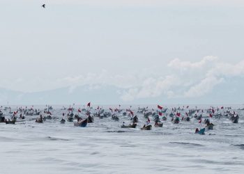 Sail Cenderawasih Bay Introduces Indonesian Maritime Tourism