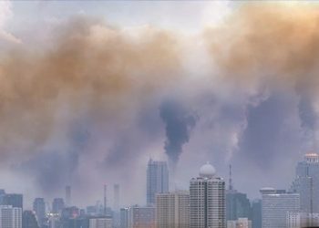 Indonesia’s Ambition to Become the Hub of the World Carbon Market