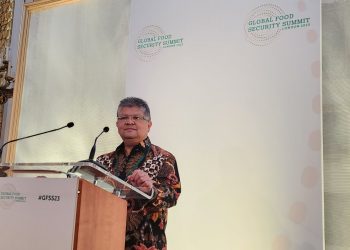 Global Food Security Summit 2023: Indonesia Promotes Cooperation to Fight Hunger