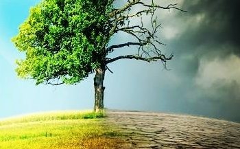 Indonesia Promotes Collaboration with ASEAN Countries to Mitigate Food Crisis
