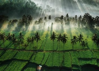 UNESCO: Subak Bali is an Ideal Example of Human and Environmental Relations