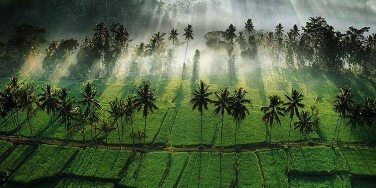 UNESCO: Subak Bali is an Ideal Example of Human and Environmental Relations