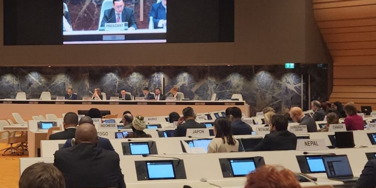 UNCTAD TDN Meeting, Indonesia Calls for an End to the War in Palestine