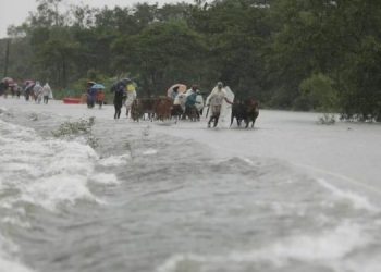 Asian Cities Face Environmental Resilience Problems