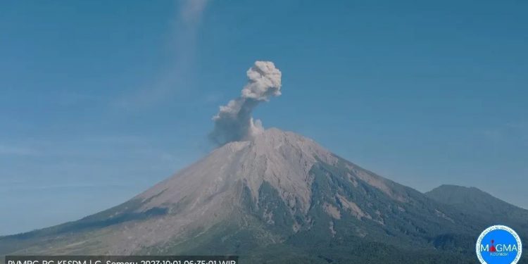 Mount Semeru Erupts 7 Times, Ash Column Reaches 800 Meters