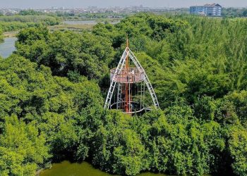 Indonesia Has the Largest Mangrove Conservation Center in Southeast Asia