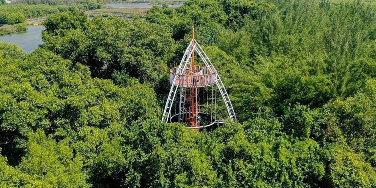 Indonesia Has the Largest Mangrove Conservation Center in Southeast Asia