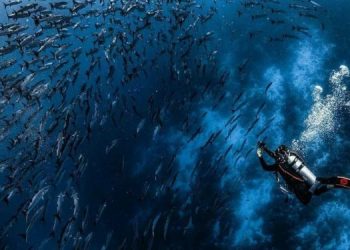 Indonesian Seas Hold Huge Potential for Rare Earth and Clean Energy