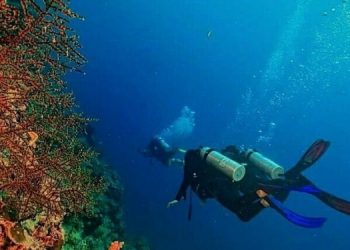 Indonesia and OceanX Collaborate to Increase Marine Potential