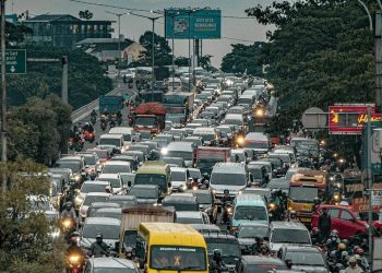 Business Sweden will Develop Green Infrastructure in Bandung