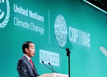 Indonesia Invites G77 and China to Become Drivers of the World Climate Agenda
