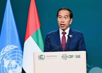 Indonesia Needs an Investment of $1 Trillion to Achieve NZE by 2060