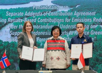 Norway Continues $100 Million Contribution to FOLU Netsink Indonesia