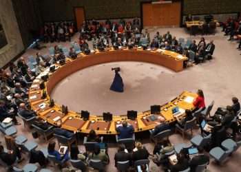 OIC Foreign Ministers’ Declaration: Stop the Gaza Crisis Now