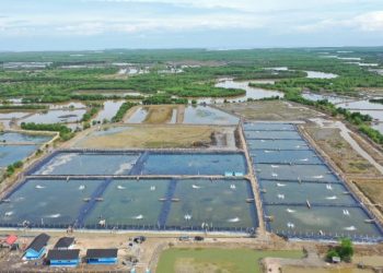 US Sues Shrimp Products from Indonesia, Ecuador, India and Vietnam