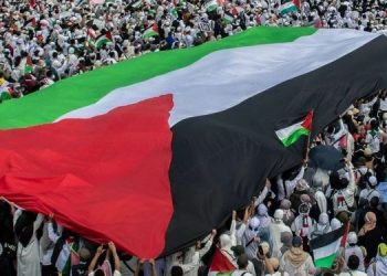 Indonesia Supports South Africa’s Steps to Sue Israel at the ICJ