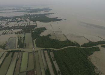 Great Sea Wall Project: Protecting Java Island from Climate Disasters