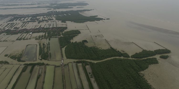 Great Sea Wall Project: Protecting Java Island from Climate Disasters